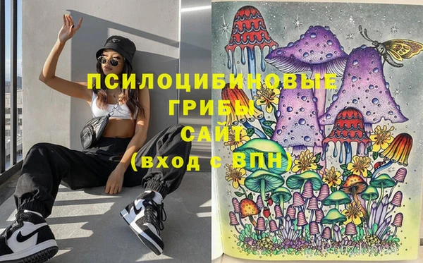 ГАЛЛЮЦИНОГЕННЫЕ ГРИБЫ Армянск