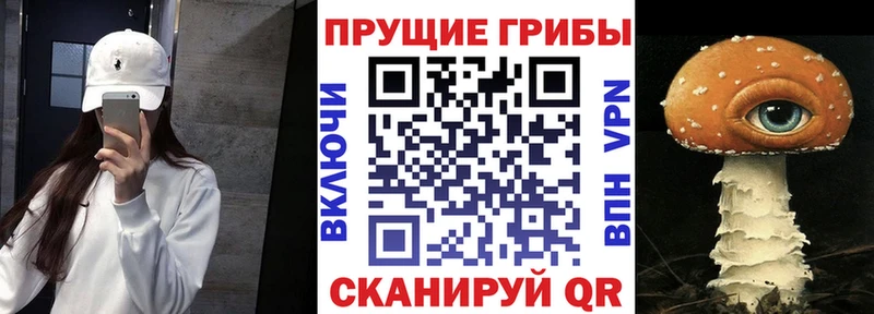 Псилоцибиновые грибы мухоморы  площадка состав  Порхов 